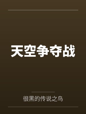 天空争夺战
